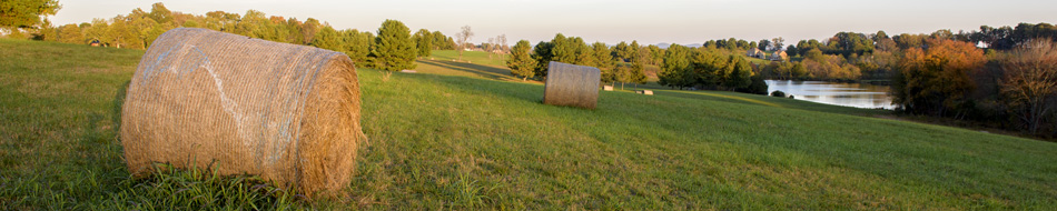 autumn hay bales