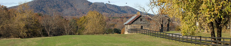 cabin in spring